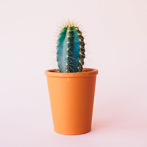img21.jpg img21.jpg